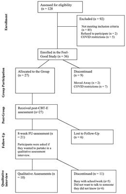 Subjective experiences of an acceptance and mindfulness-based group intervention (Feel-Good-Group) in young people with early psychosis